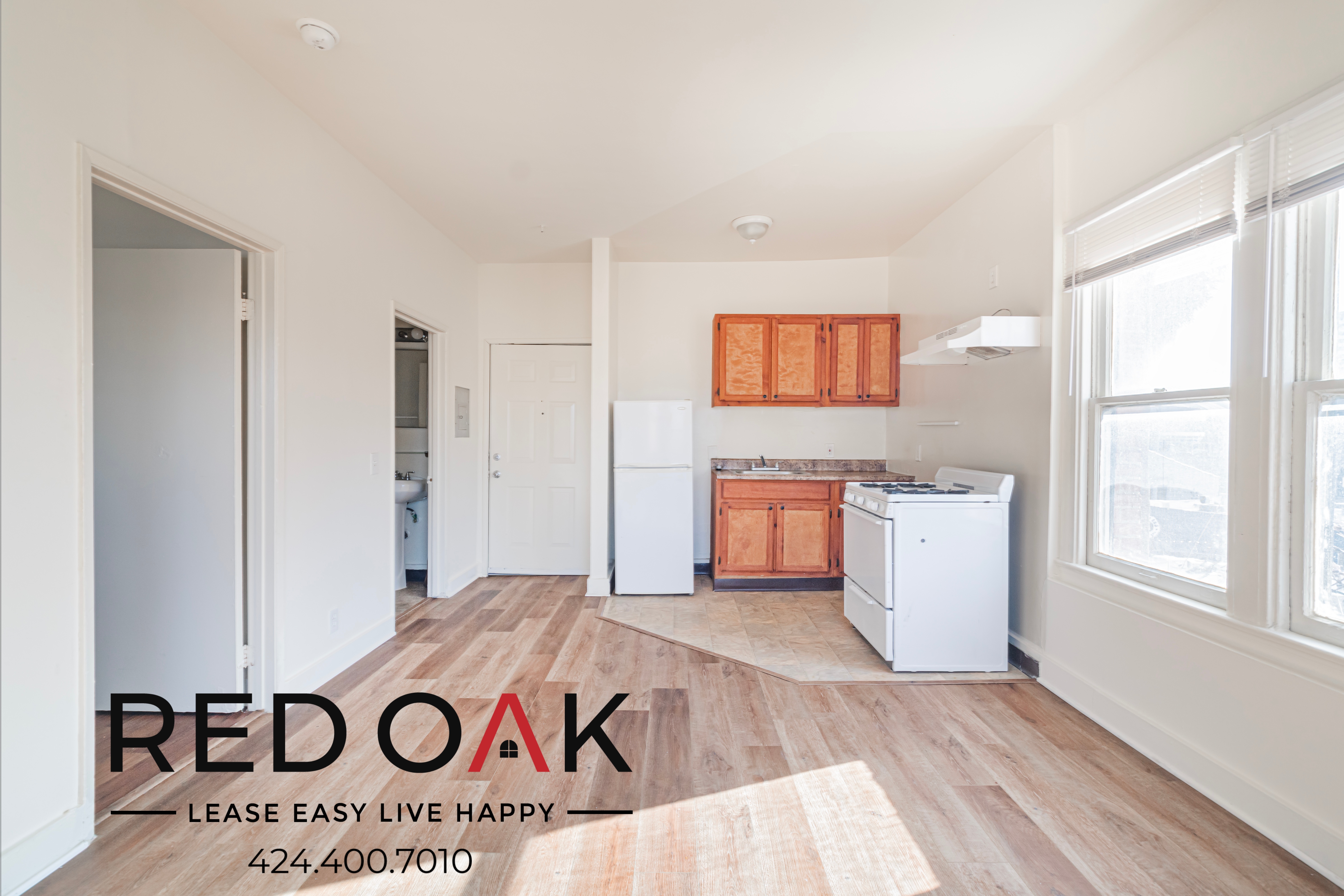 Los Angeles Condo: 537 S Kenmore Ave