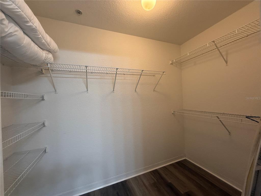 Tampa Condo: 118 South Obrien Street