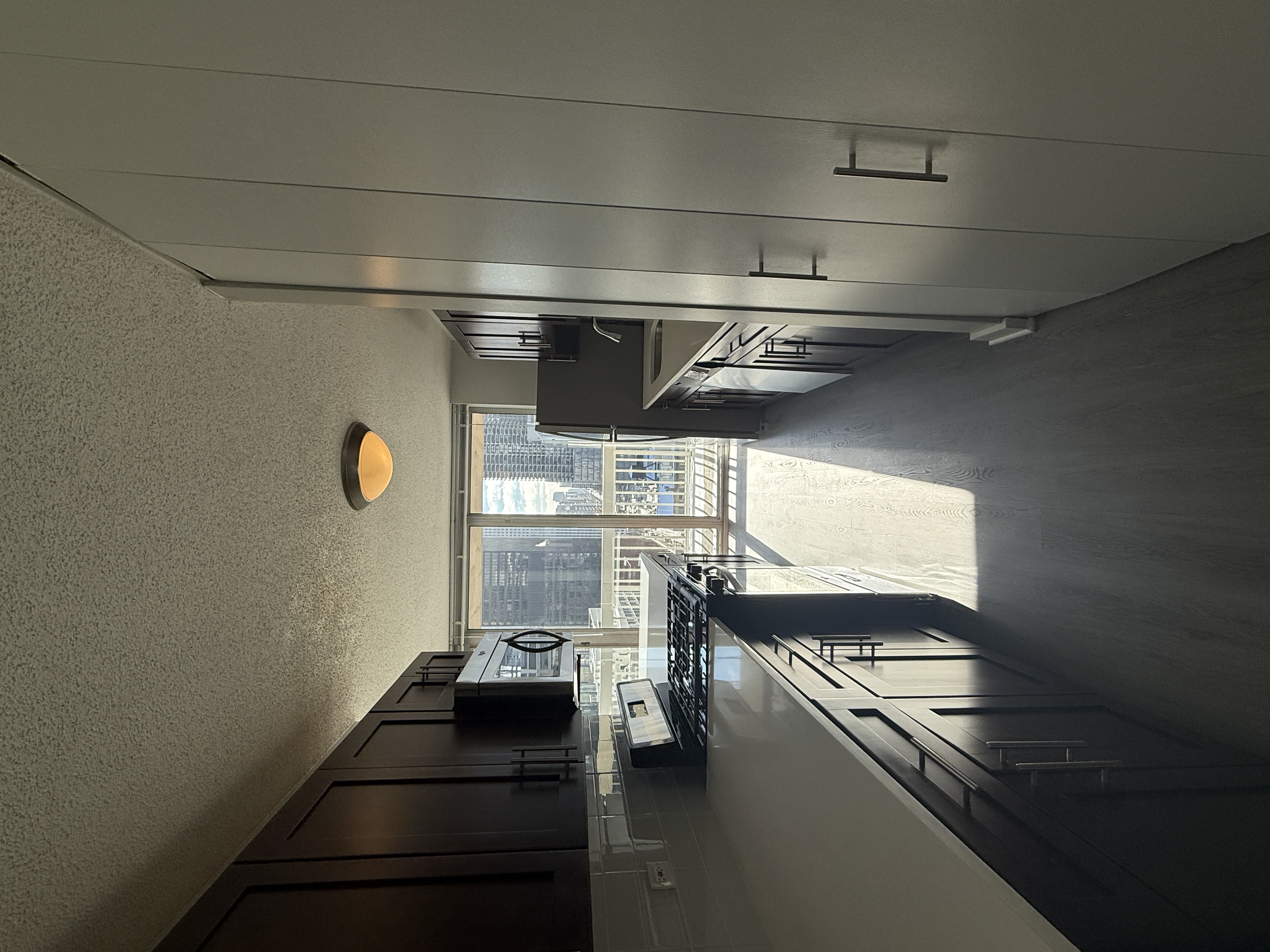 Chicago Condo: 509 N Dearborn