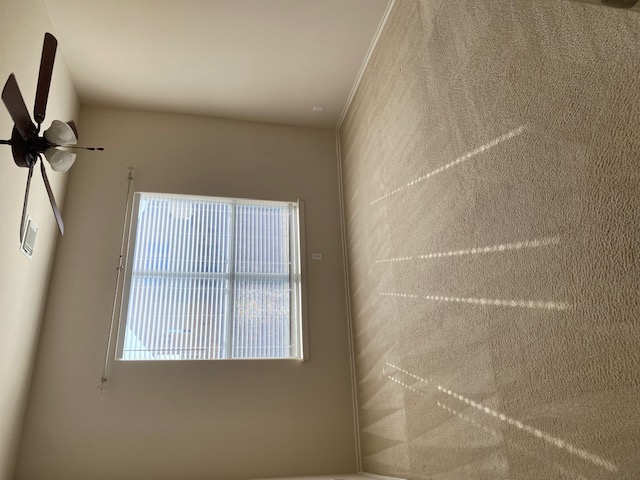 Round Rock Condo: 3709 Pine Needle Circle