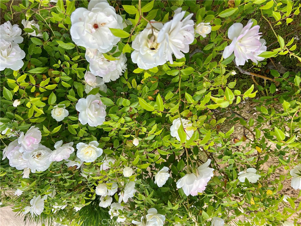 Agoura Hills Condo: 28723 Conejo View Drive