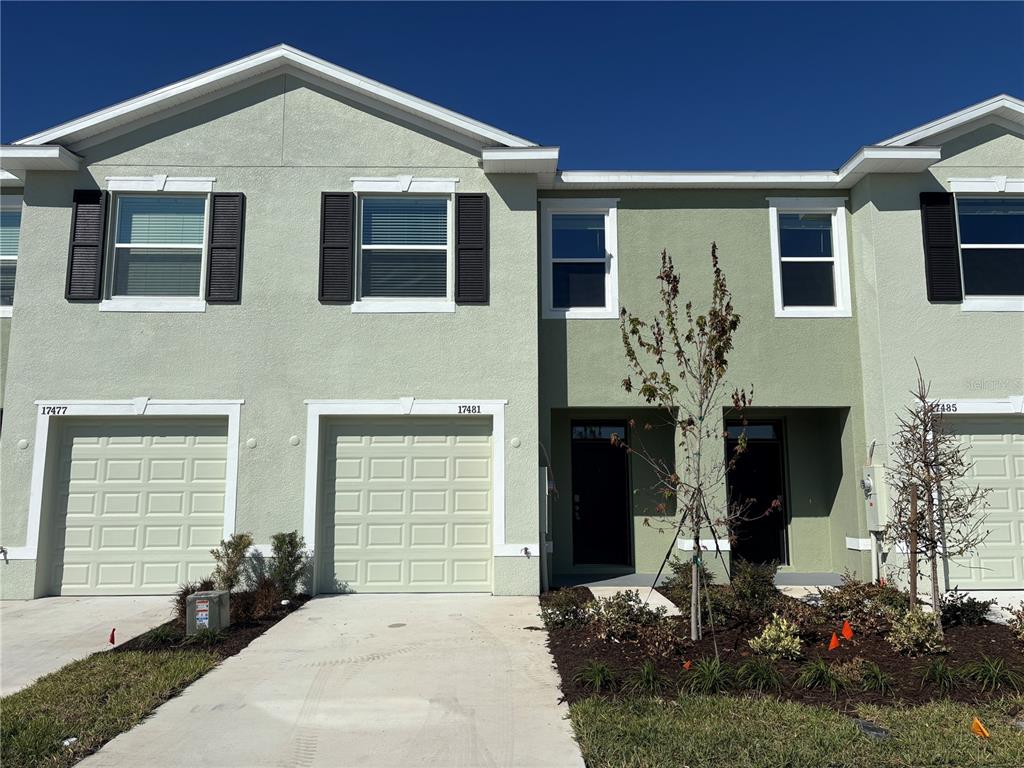 Land O Lakes Condo: 17481 Spanish Oak Loop