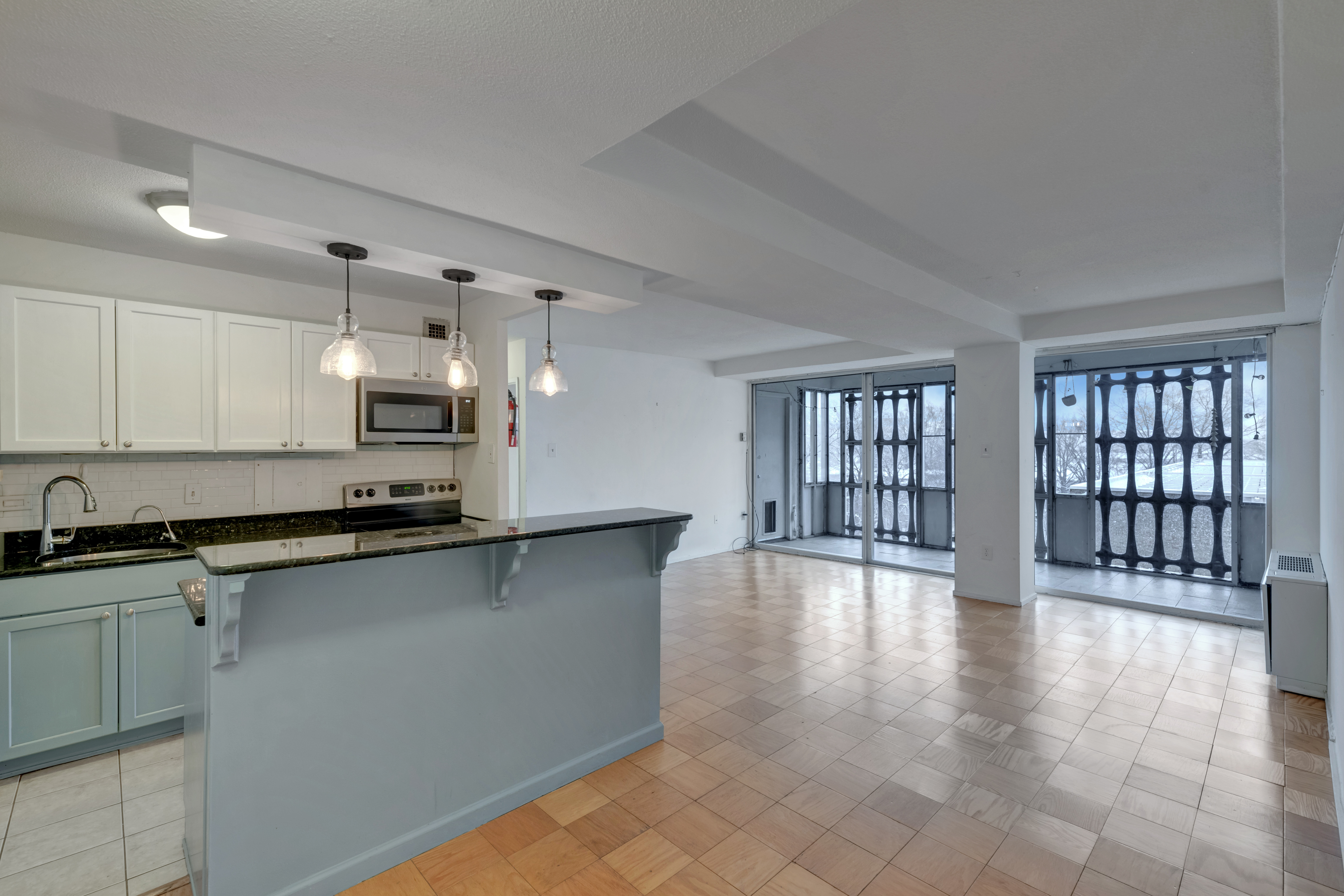 Washington Condo: 1311 Delaware Ave SW