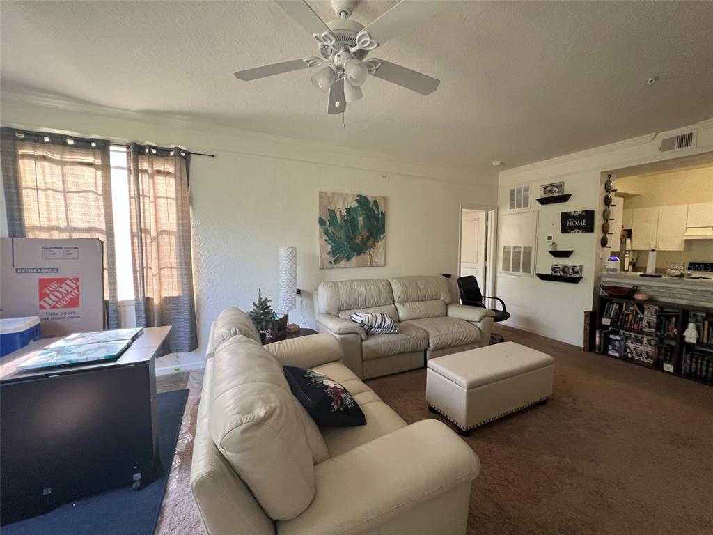 Tampa Condo: 17106 Carrington Park Drive