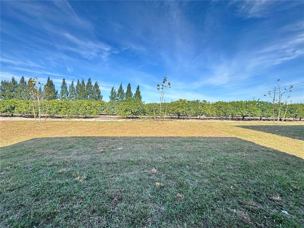 Lake Wales Condo: 2167 Chris Drive