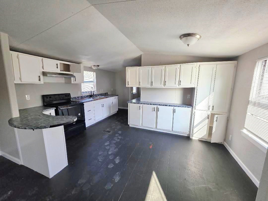 Willis Condo: 310 Paddock Street