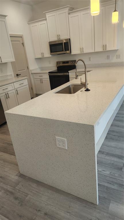 Punta Gorda Condo: 23469 Roscoe Avenue