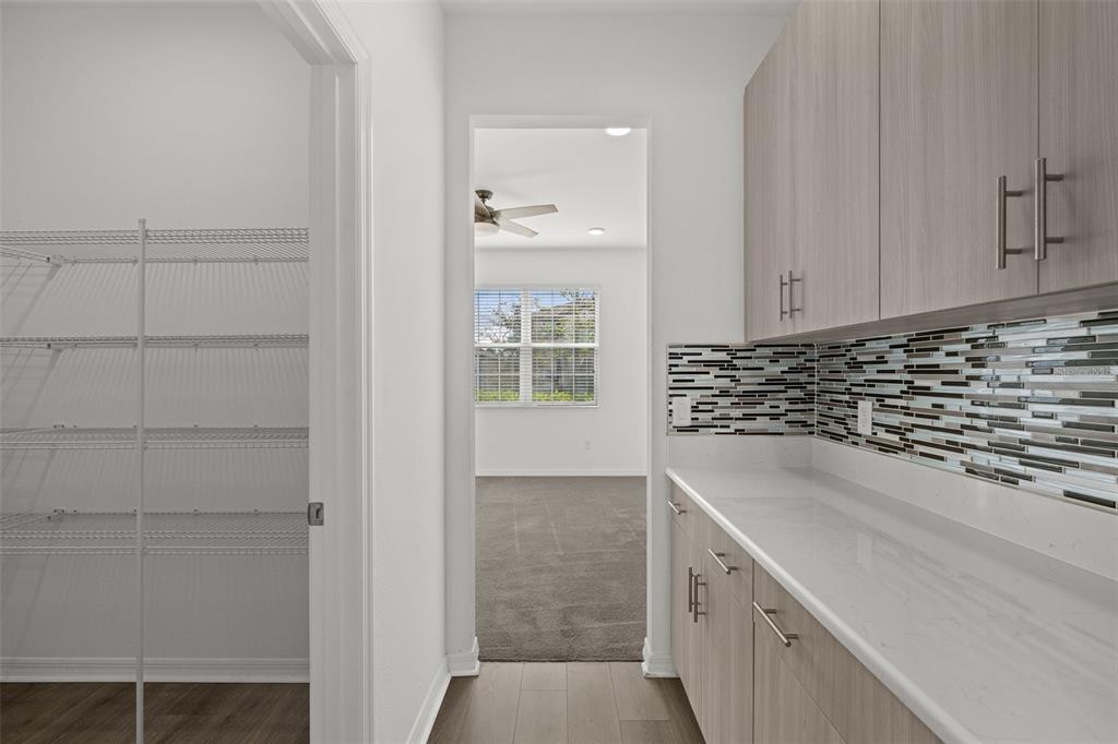 Wesley Chapel Condo: 33251 Sycamore Leaf Drive