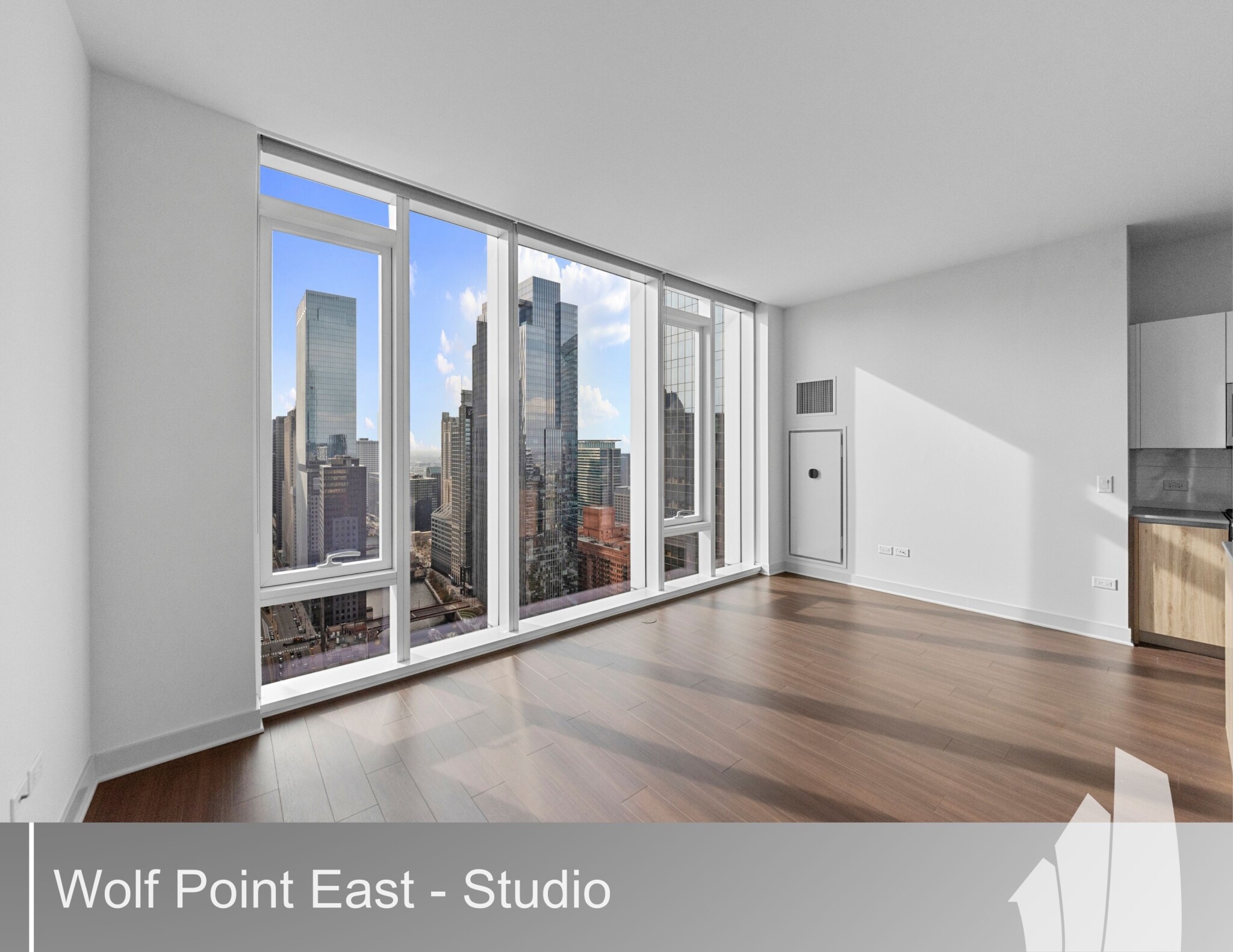 Chicago Condo: 313 West Wolf Point Plaza