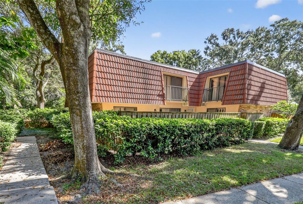 Palm Harbor Condo: 693 1st Court