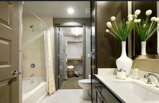 Austin Condo: 222 West Ave