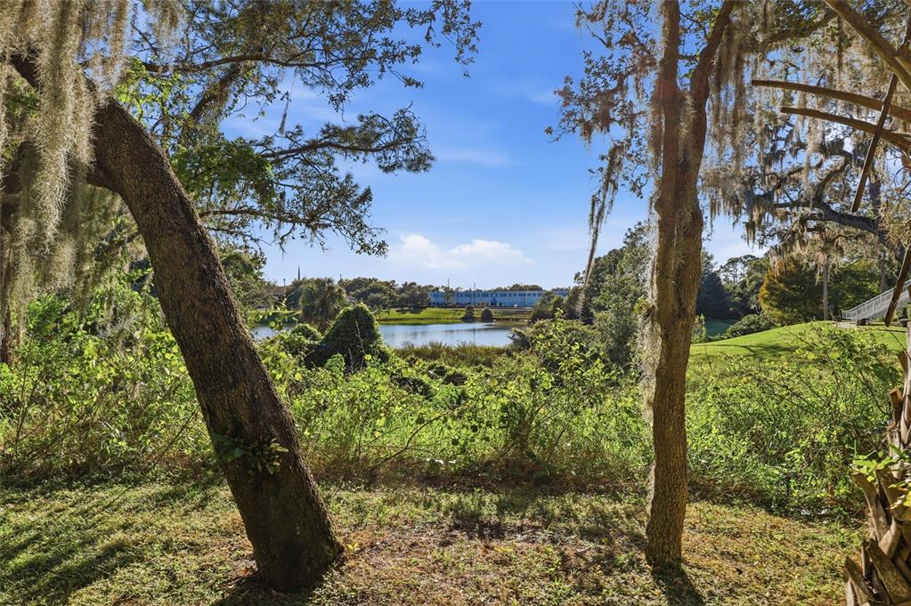 Lake Mary Condo: 2532 Grassy Point Drive