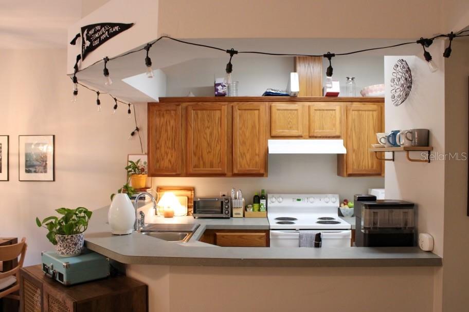 Gainesville Condo: 533 Northwest 50th Boulevard