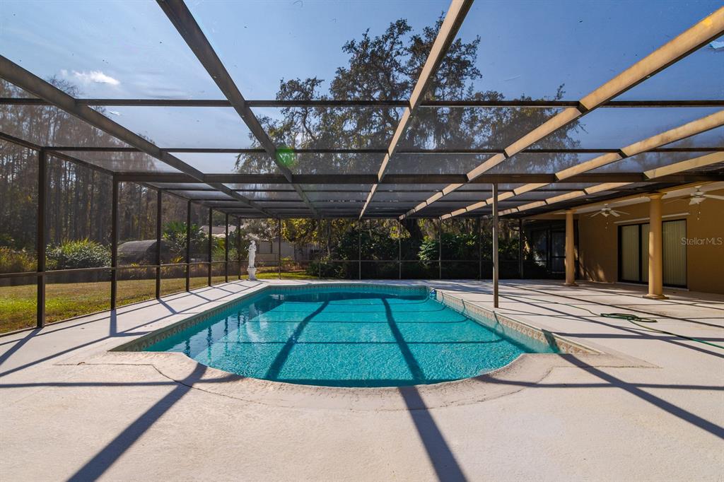 New Port Richey Condo: 10206 Lakeview Drive