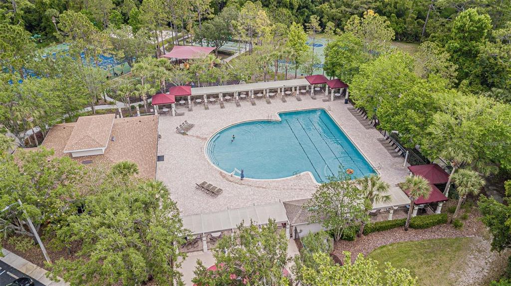 Wesley Chapel Condo: 31912 Turkeyhill Drive