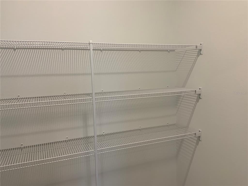 Wesley Chapel Condo: 32386 Evening Grv Court