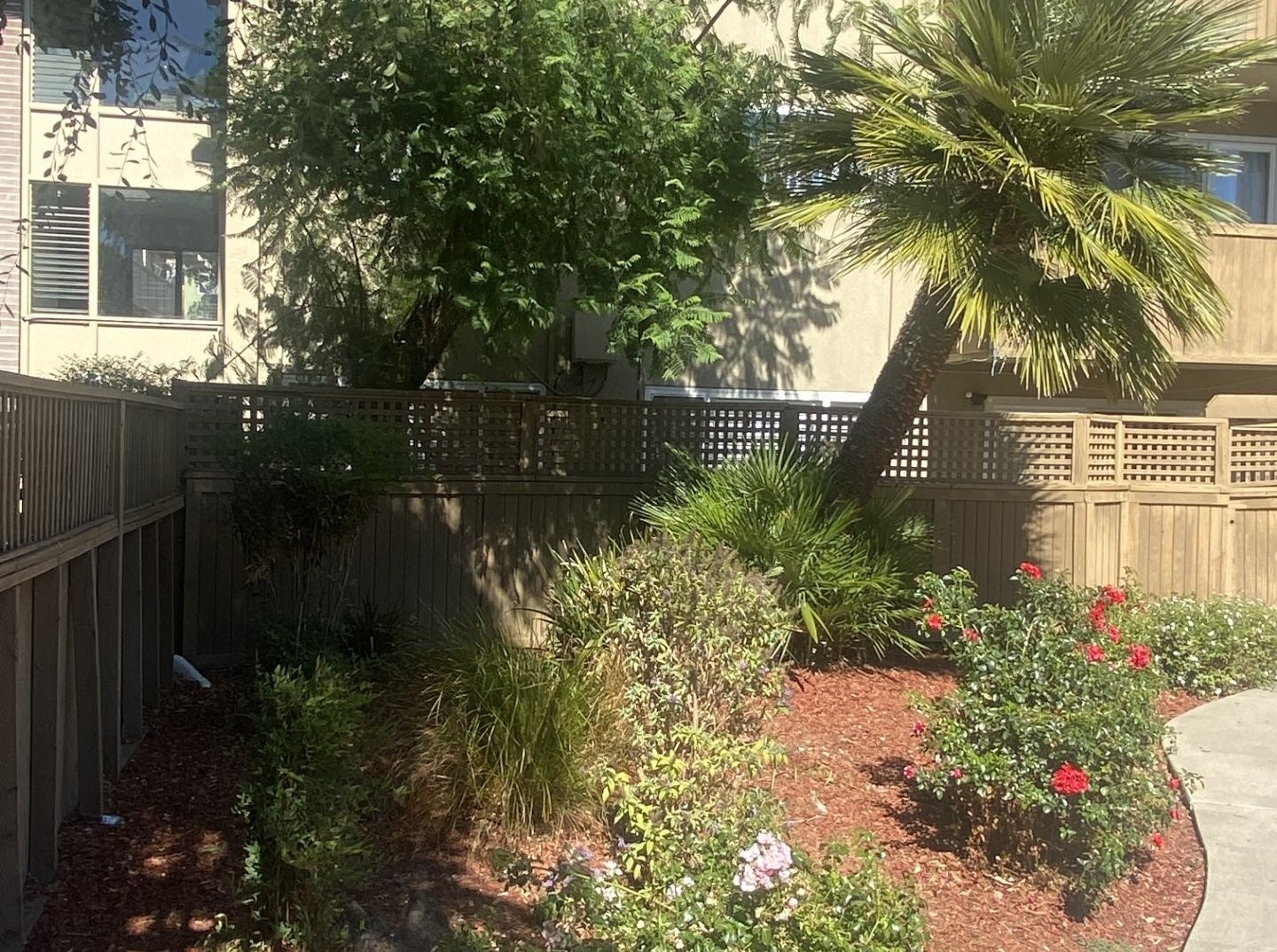 Hayward Condo: 959 Torrano Avenue