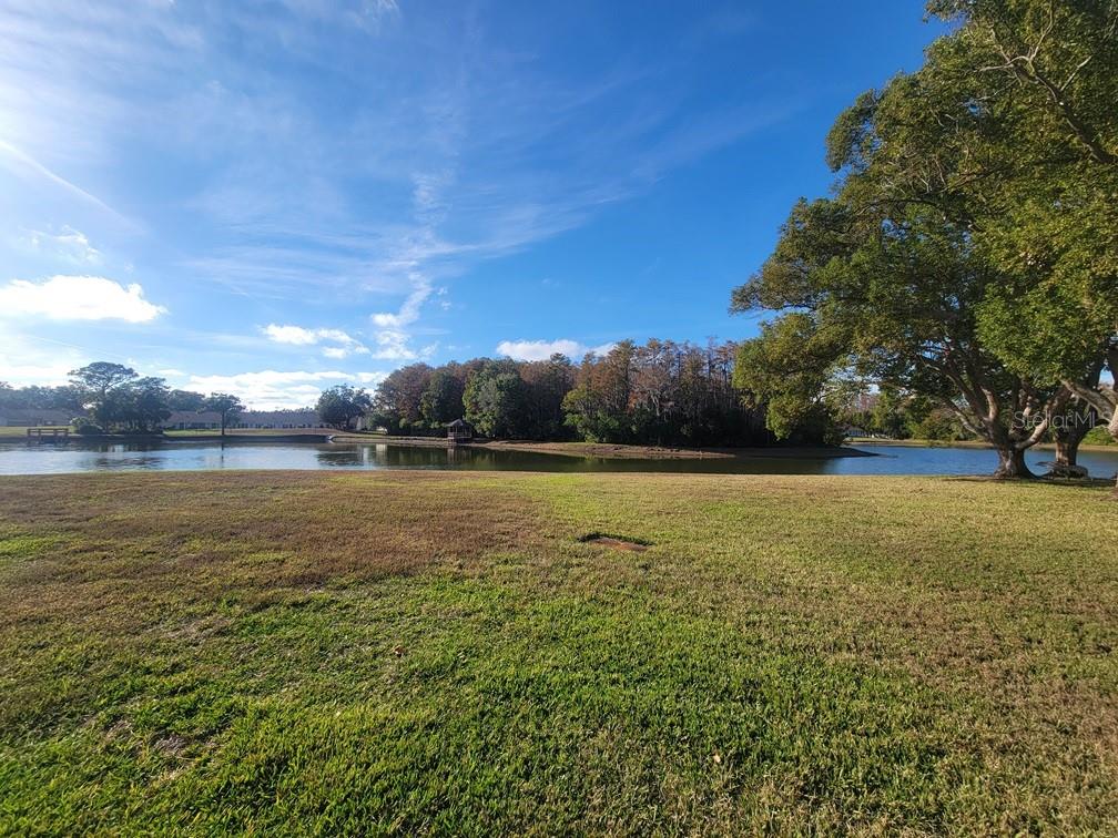 New Port Richey Condo: 4839 Grist Mill Circle