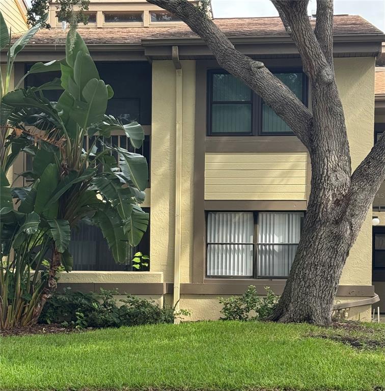 Oldsmar Condo: 247 Woodlake Wynde
