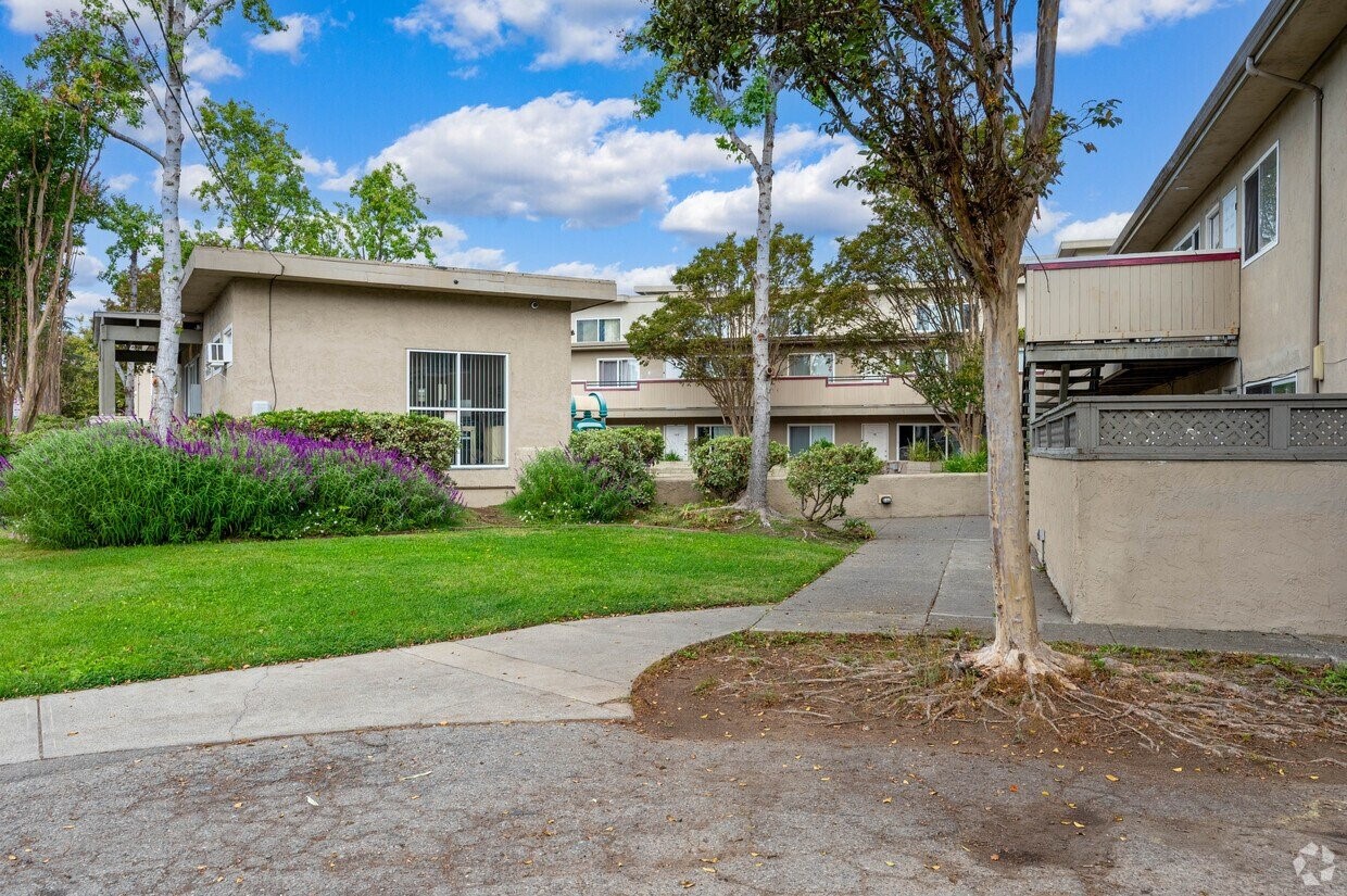 San Rafael Condo: 30 Novato Street