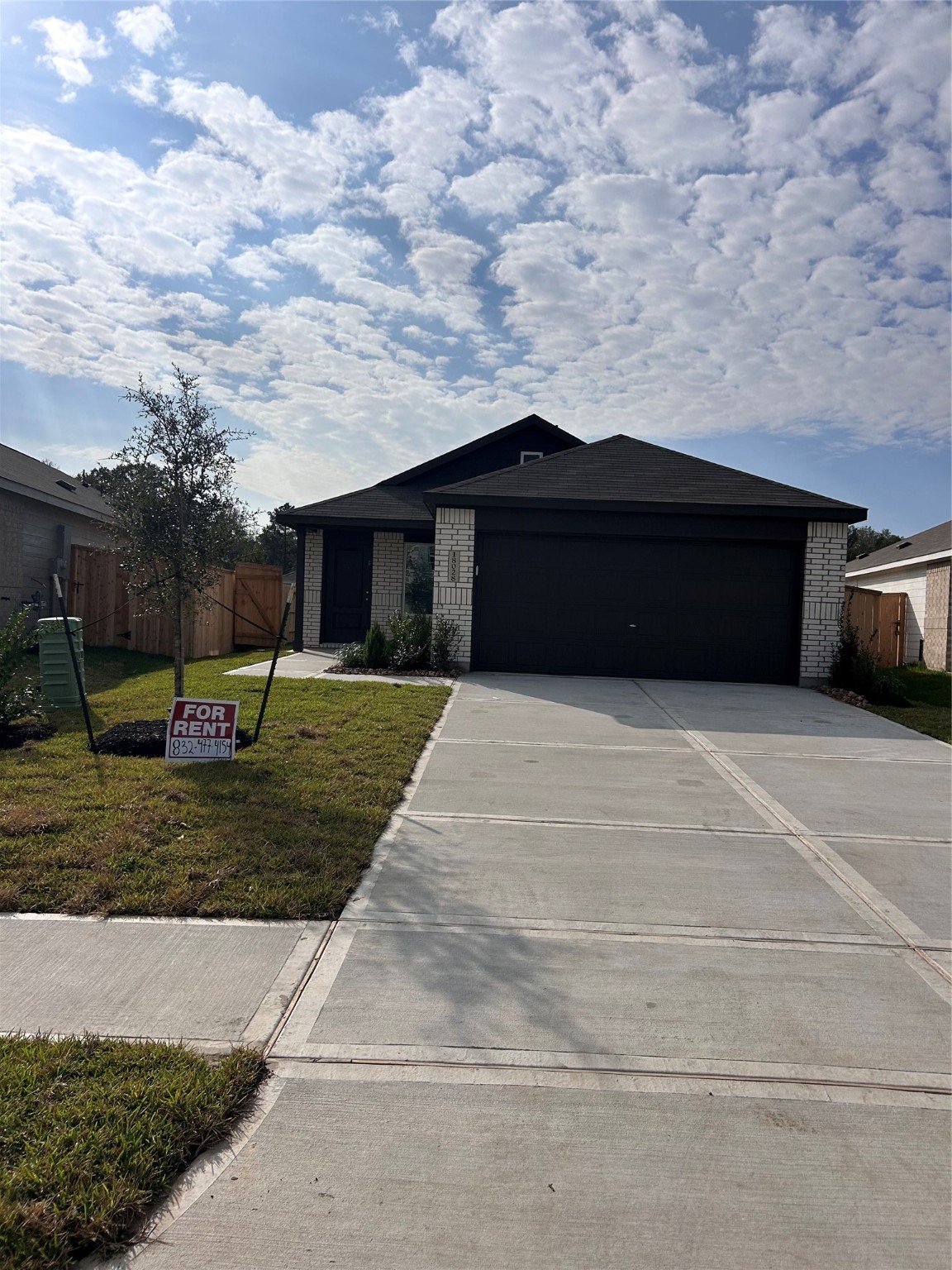 New Caney Condo: 18020 Trepito Avenue