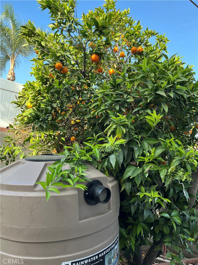 Sun Valley Condo: 7317 Ensign Avenue