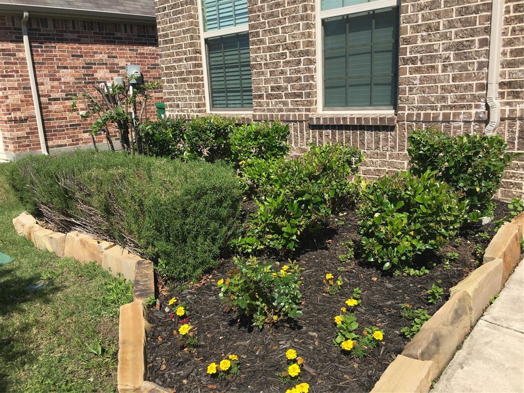 Little Elm Condo: 620 Calliopsis Street