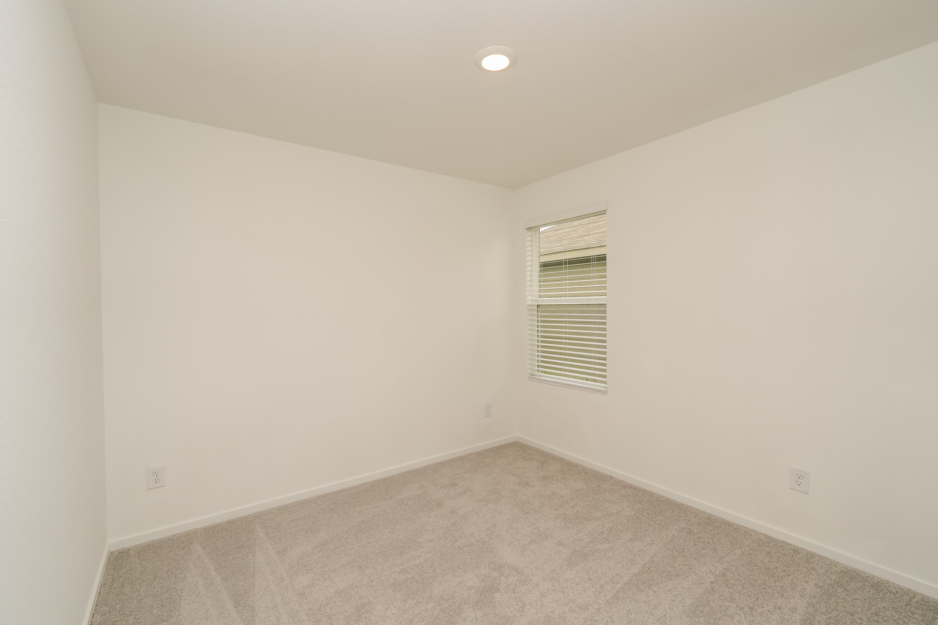 Houston Condo: 7907 Meadow Cranesbill Drive