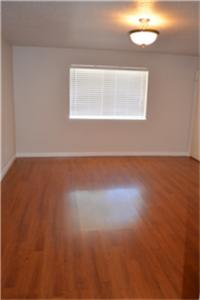 Sugar Land Condo: 14014 Bay Gardens Drive