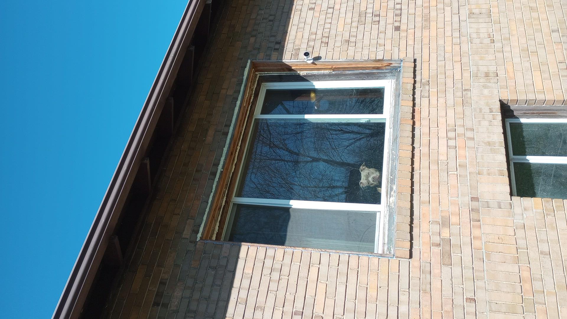 Danville House: 136 Griffin