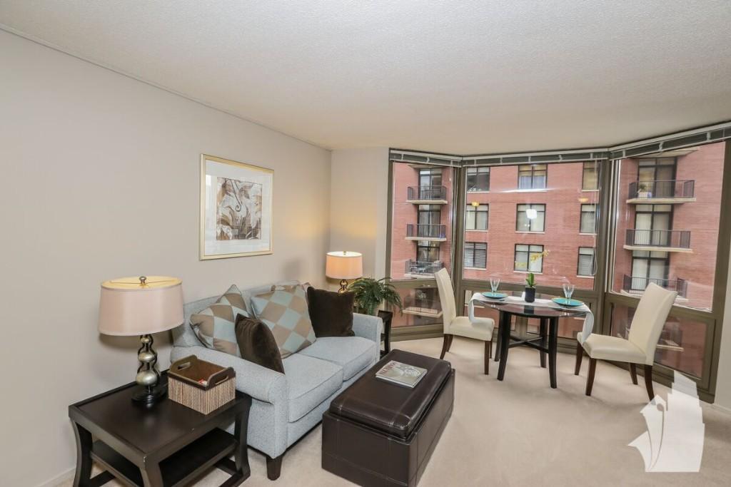 Chicago Condo: 1130 North Dearborn