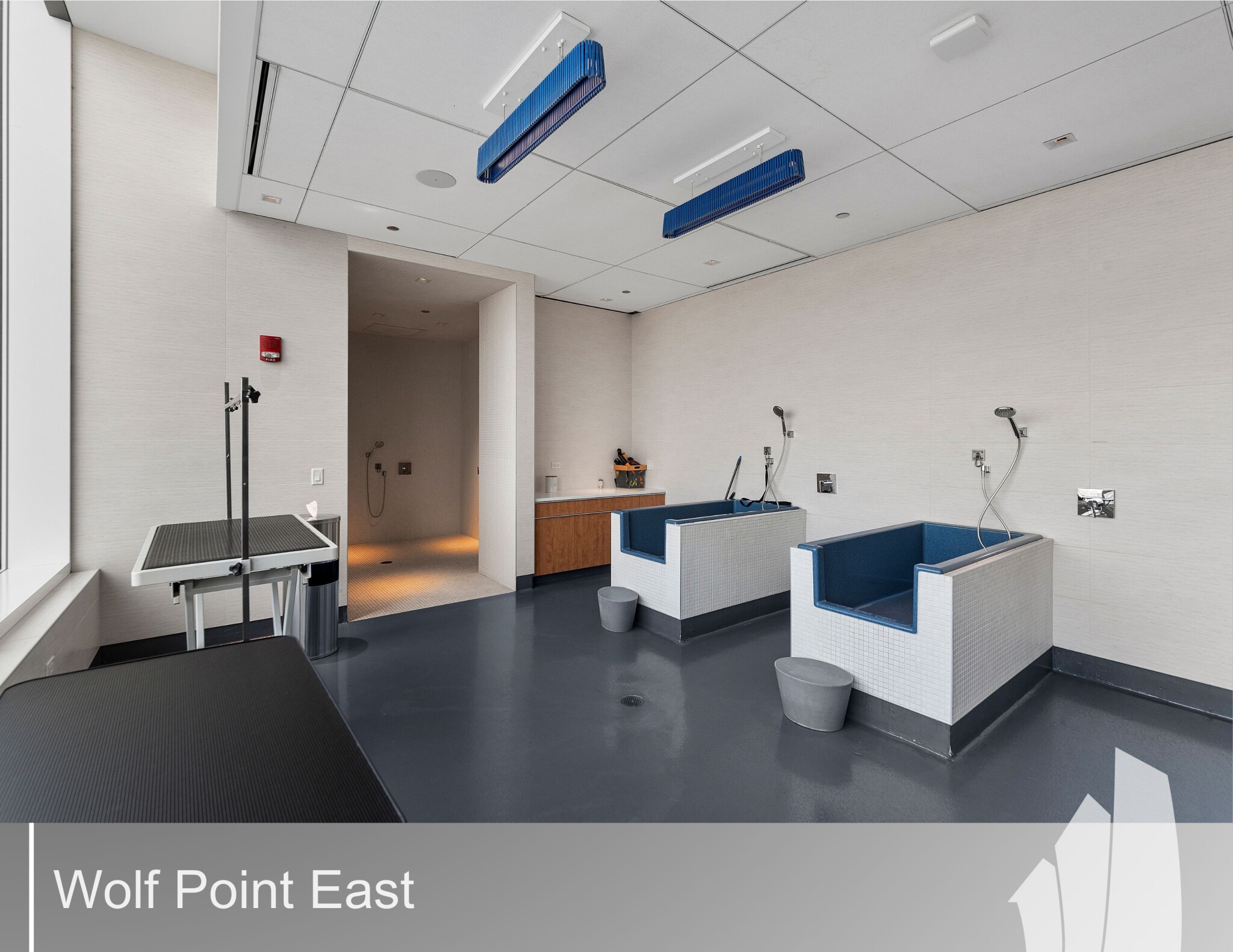 Chicago Condo: 71 West Hubbard St