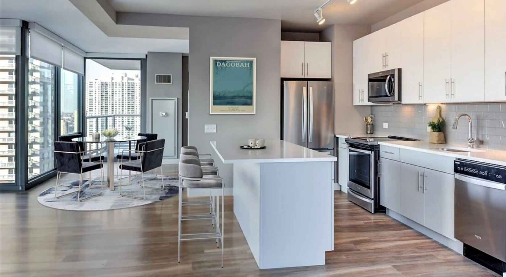 Chicago Condo: 505 North State St