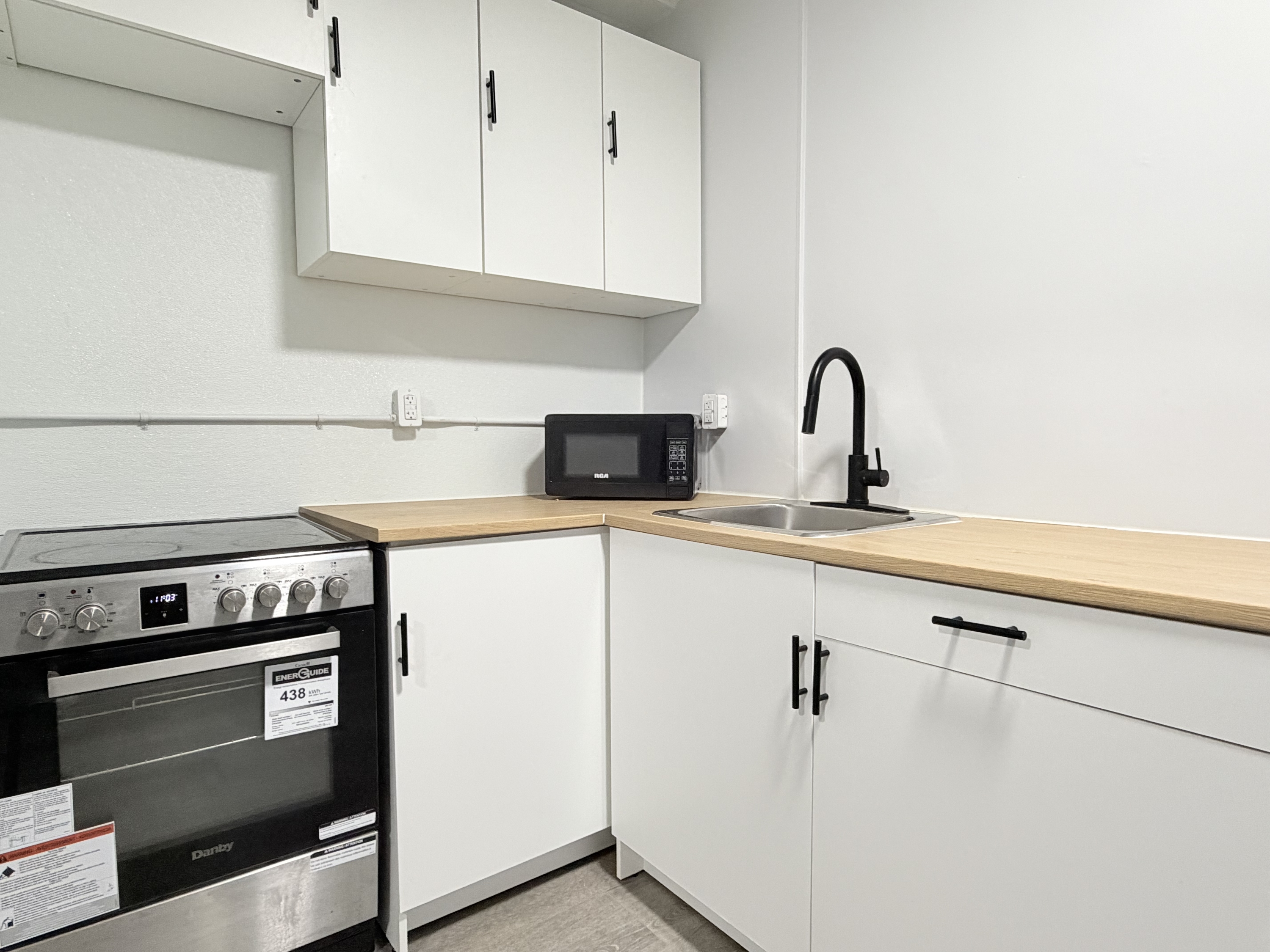 Windsor Condo: 1495 Gladstone Ave