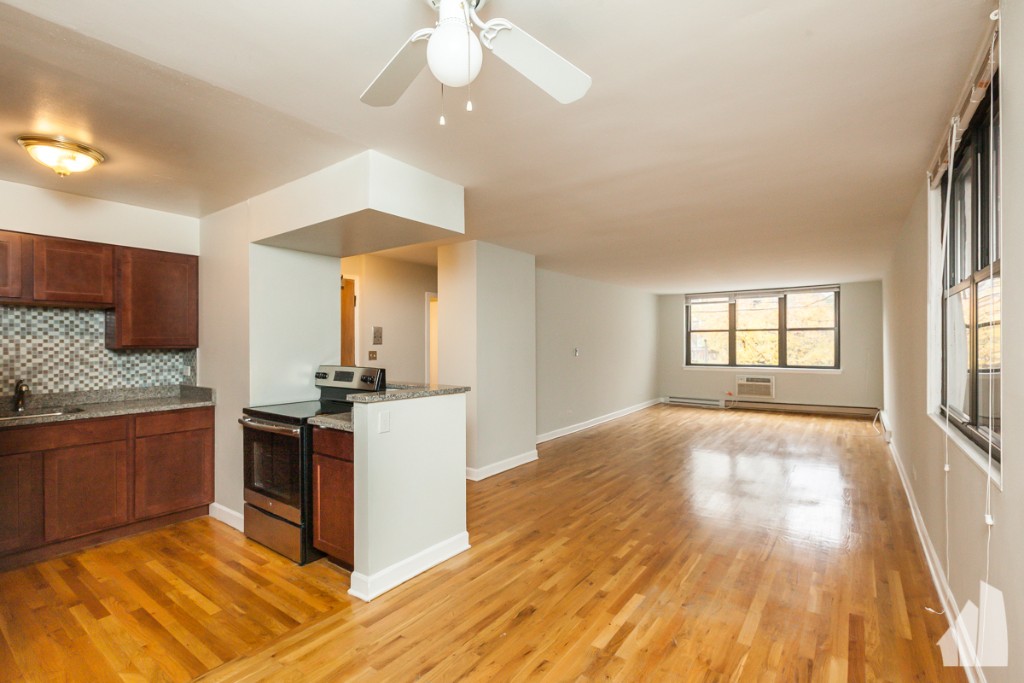 Chicago Condo: 1446 North Dearborn Street,