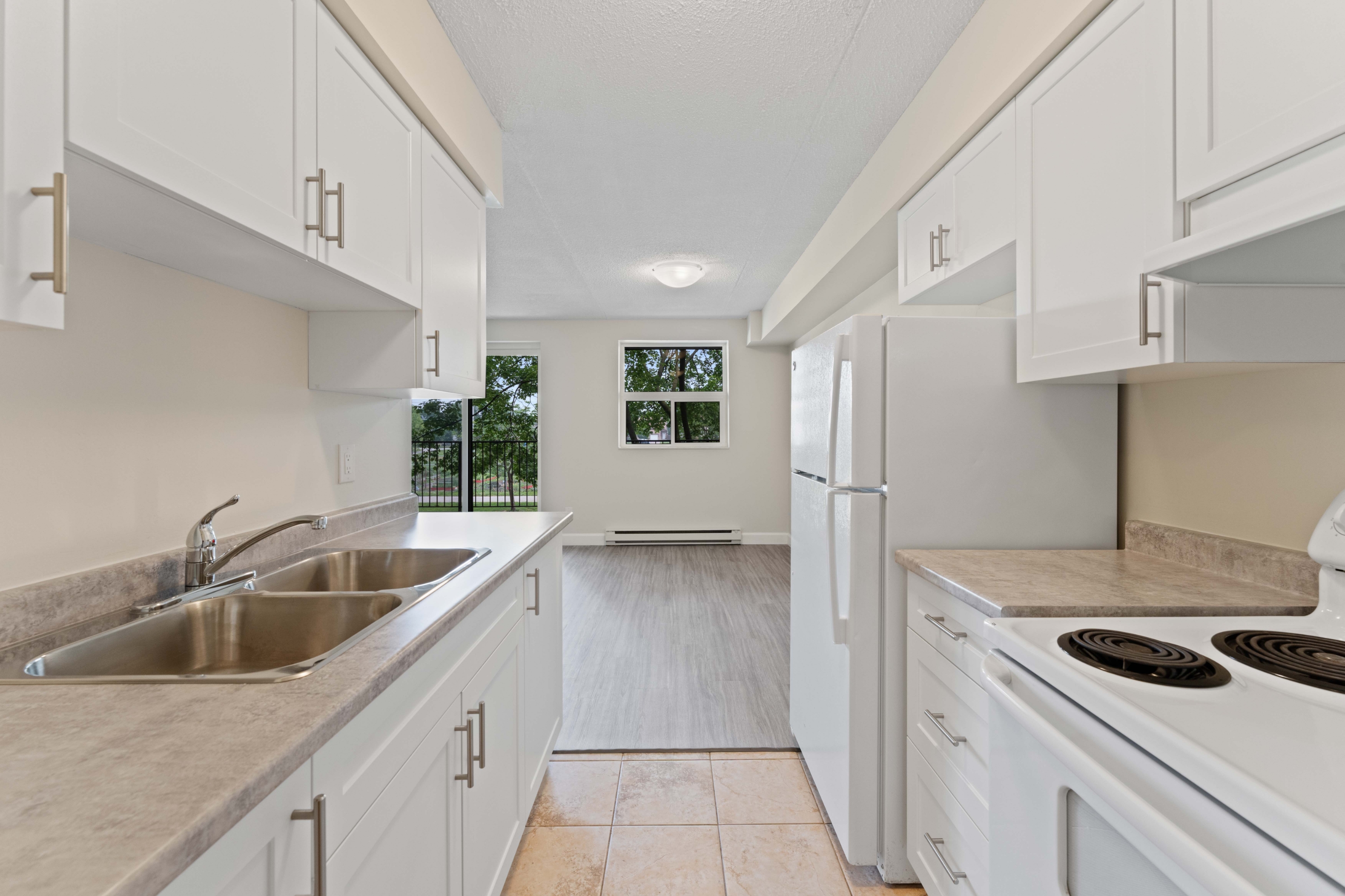 Windsor Condo: 1071 McDougall St