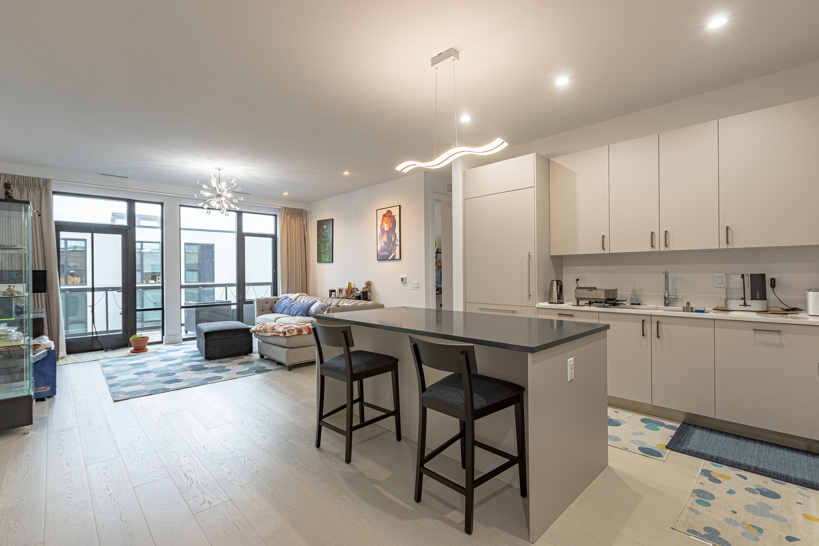 Chicago Condo: 1701 W Webster
