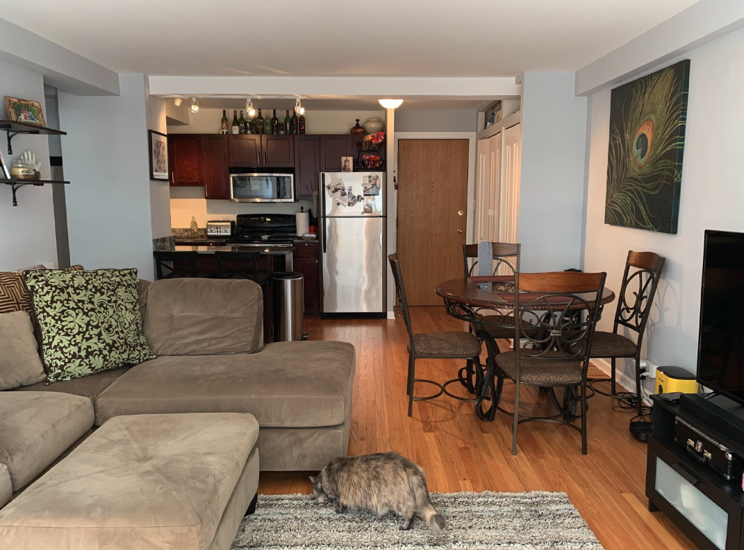 Chicago Condo: 4180 North Marine Drive