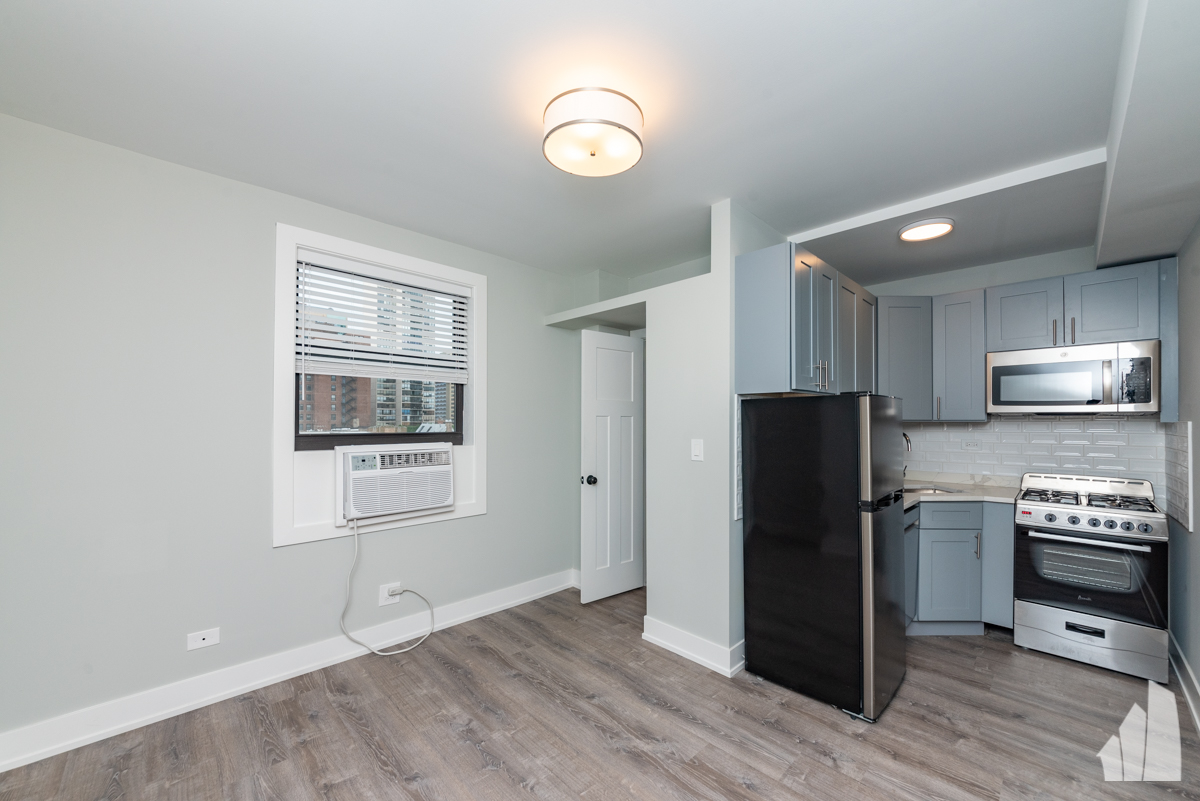Chicago Condo: 505 West Belmont Avenue