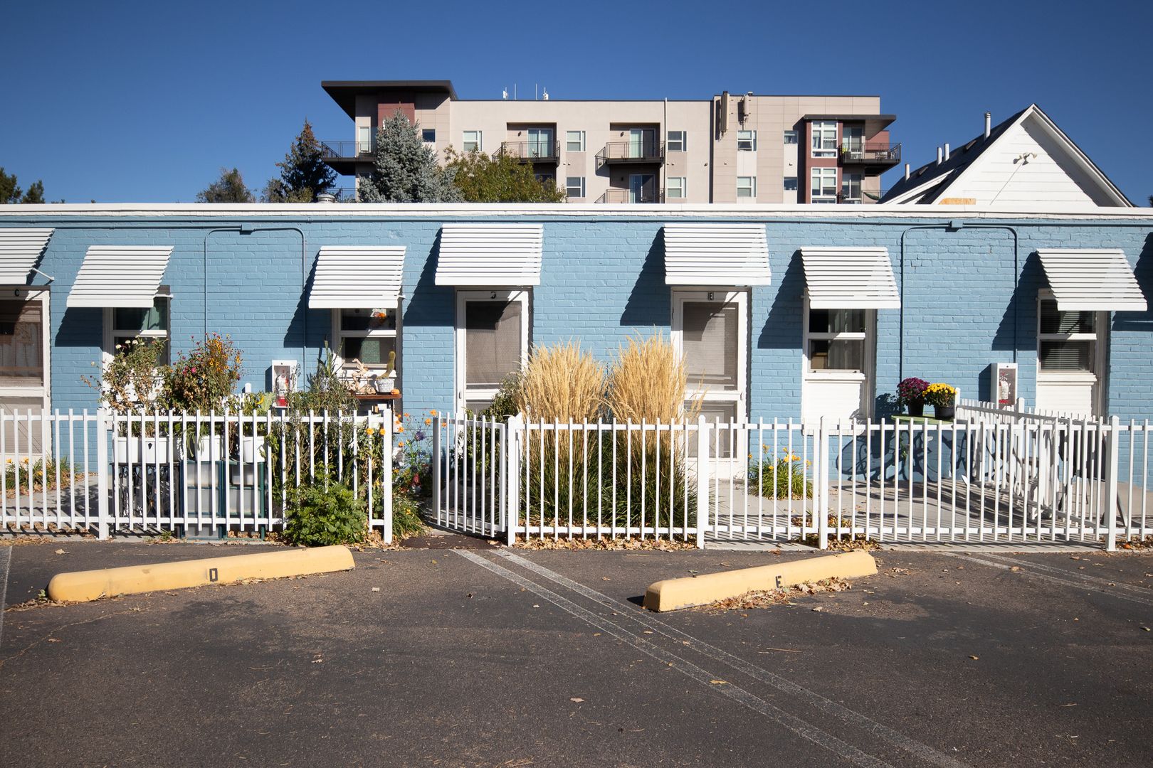 Arvada Apartment: 7207 Grandview Ave