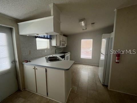 Davenport Condo: 232 Nesbitt Park Avenue