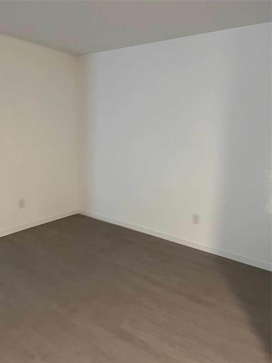 New Caney Condo: 21119 Vercelli Street