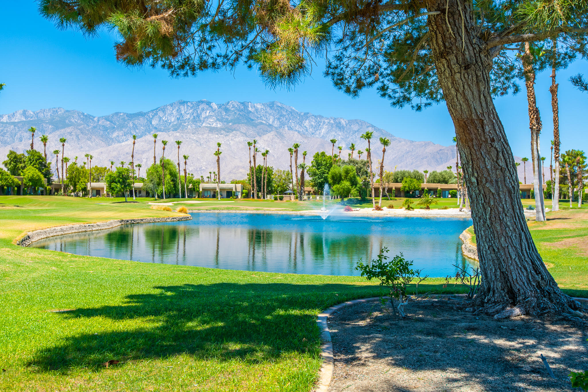 Cathedral City Condo: 28859 Desert Princess Drive