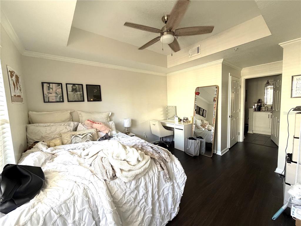 Tampa Condo: 800 South Dakota Avenue