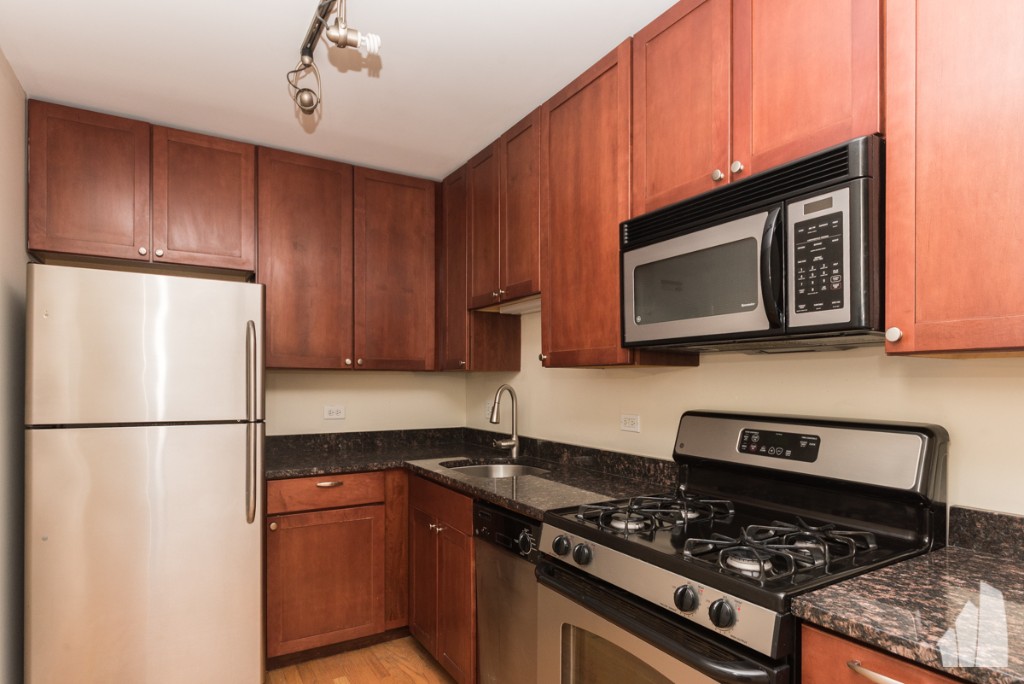 Chicago Condo: 625 West Wrightwood Ave,nue