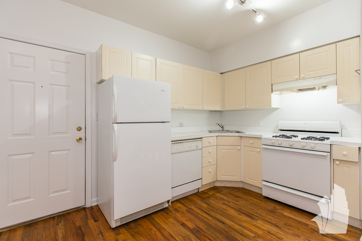 Chicago Condo: 917 West Dakin