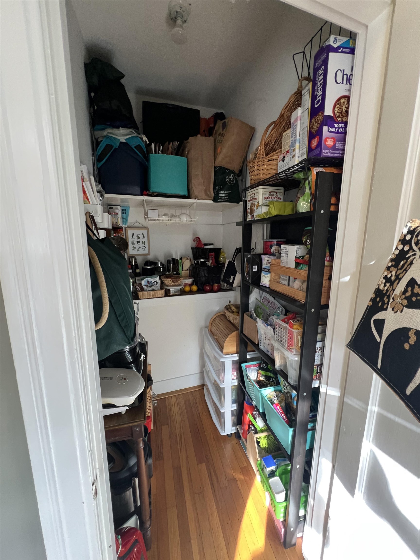 Berkeley Condo: 1528 Milvia Street