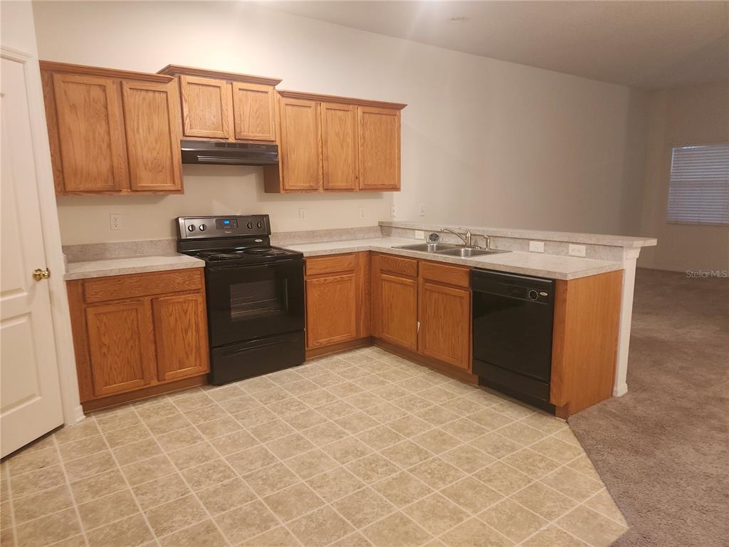 Tampa Condo: 1043 Andrew Aviles Circle
