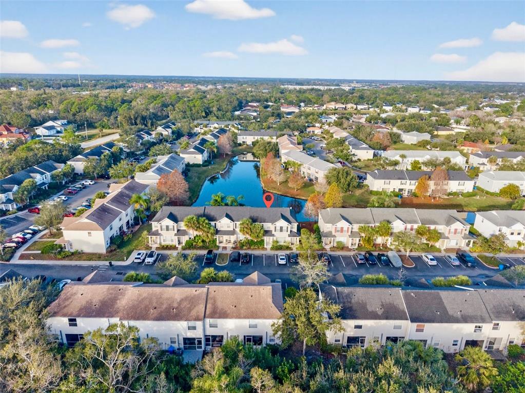 Tampa Condo: 12343 Country White Circle