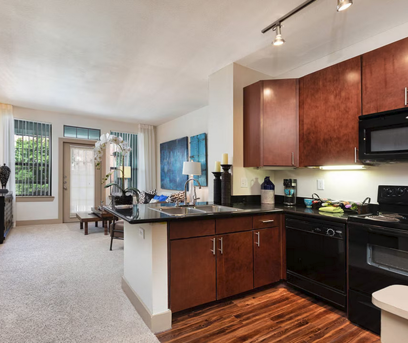 Austin Condo: 810 E 9th St
